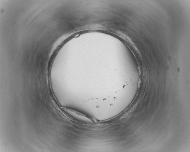 X0000069831176200606161933