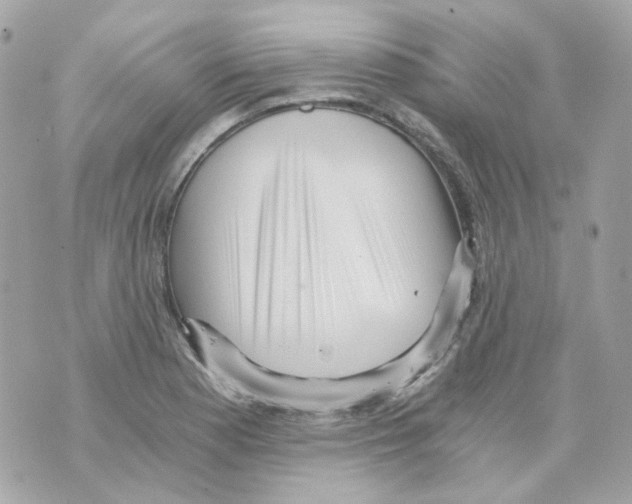 X0000069831177200606161933