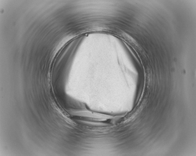 X0000069831178200606161933