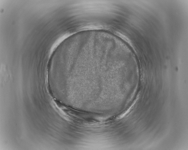 X0000069831179200606161933