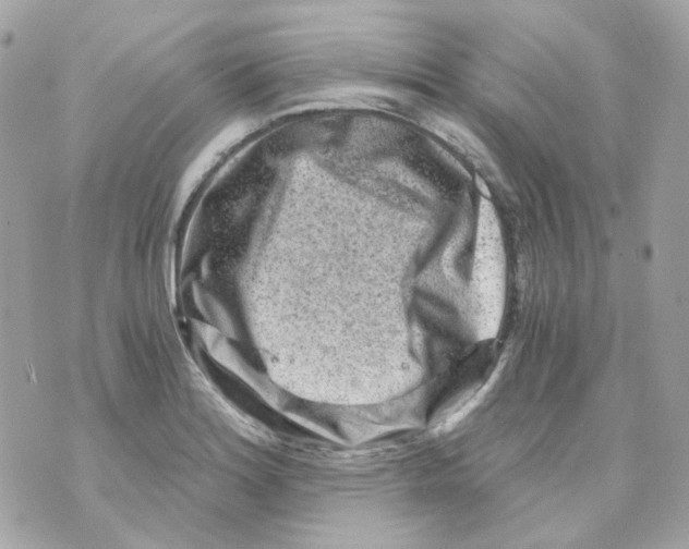 X0000069831180200606161933