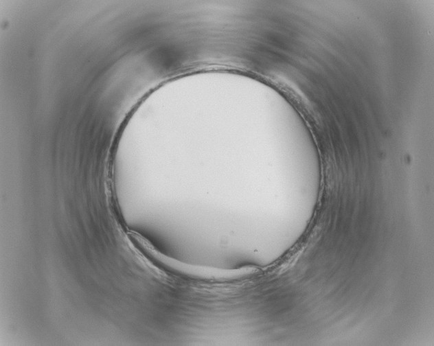 X0000069831182200606161933