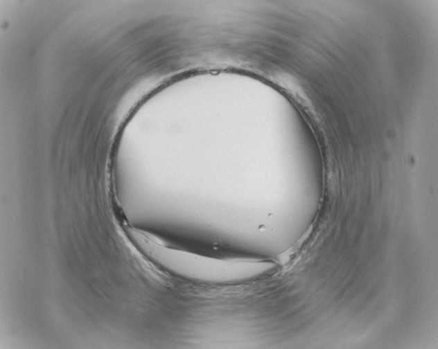 X0000069831183200606161933