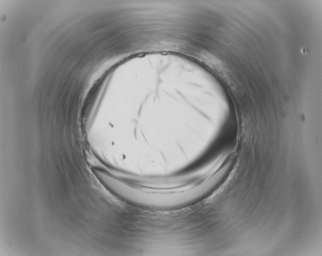 X0000069831184200606161932