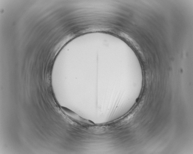 X0000069831185200606161932