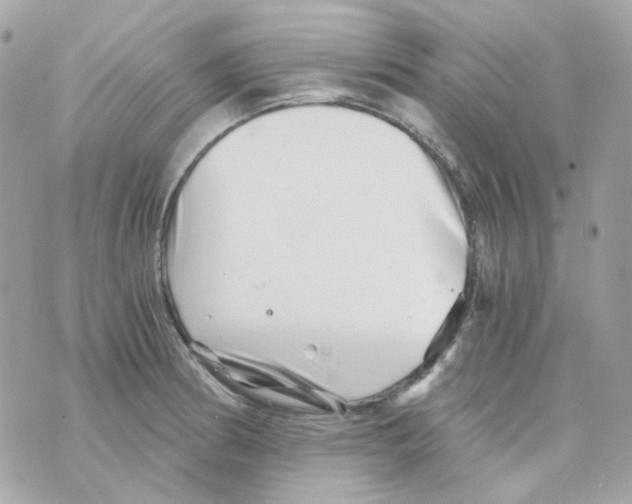 X0000069831186200606161932