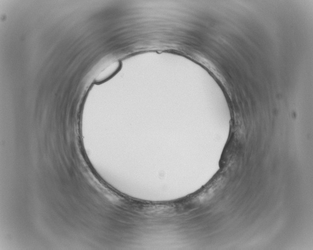 X0000069831187200606161932