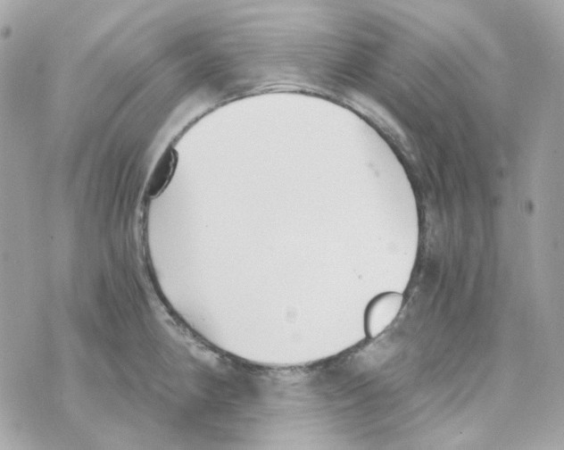 X0000069831190200606161932