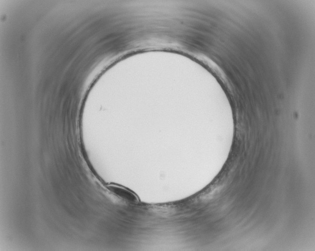 X0000069831191200606161932