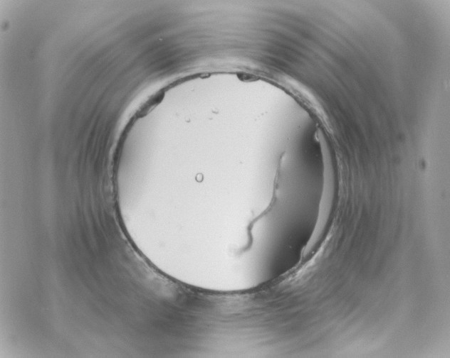 X0000069831192200606161932