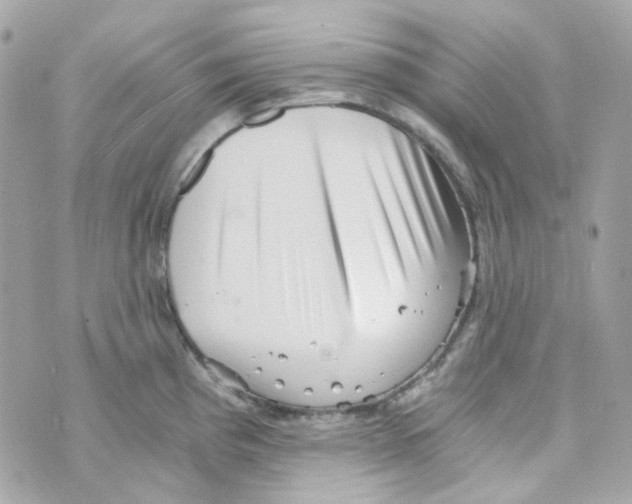 X0000069831193200606161932