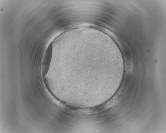 X0000069831194200606161932