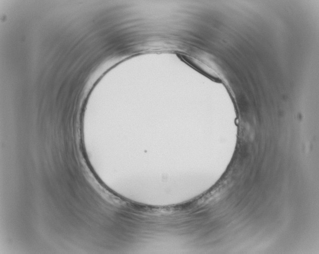 X0000069831195200606161932