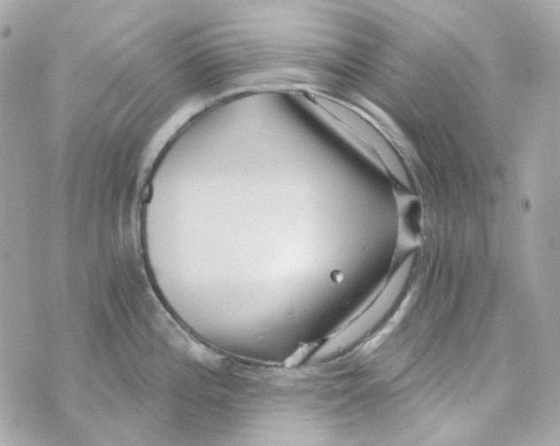 X0000069831196200606161932