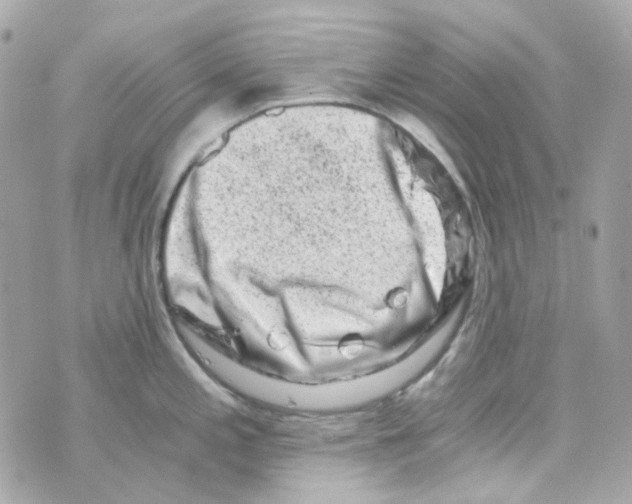 X0000069831197200606161932