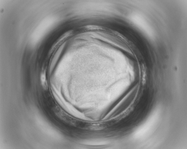 X0000069831198200606161932