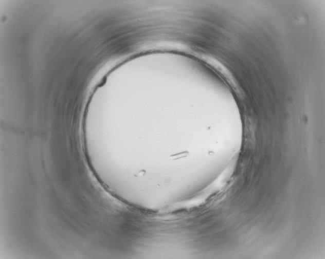 X0000069831199200606161932