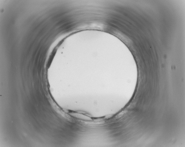 X0000069831200200606161932