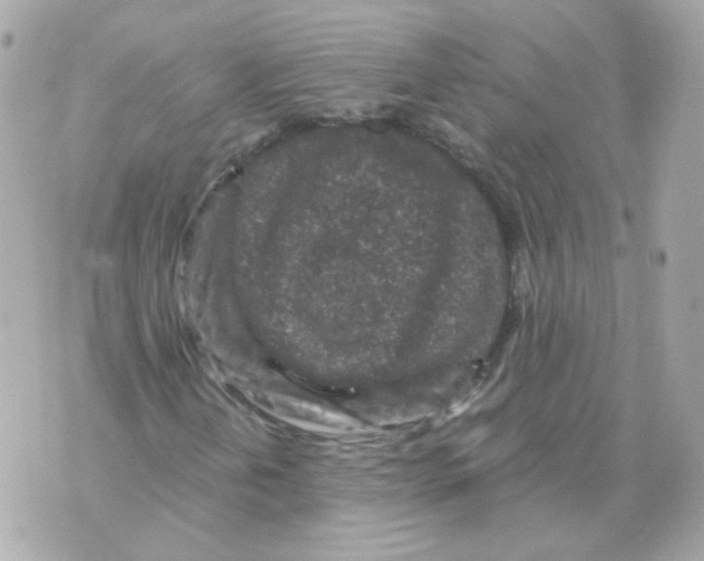 X0000069831202200606161931