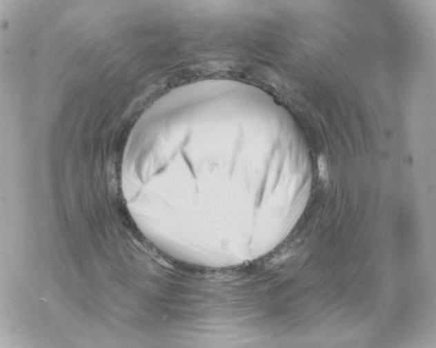 X0000069831203200606161931