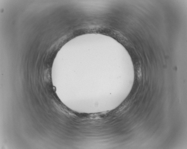 X0000069831204200606161931