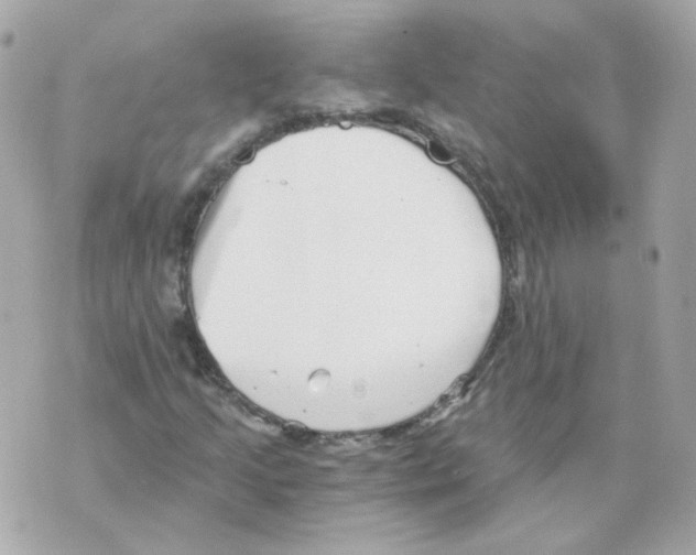 X0000069831205200606161932