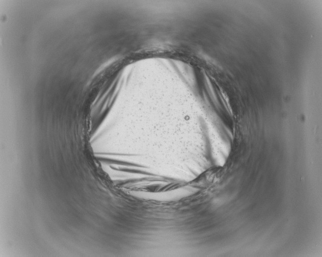 X0000069831206200606161932