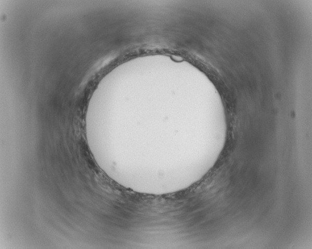 X0000069831207200606161932