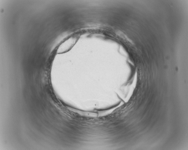 X0000069831208200606161932