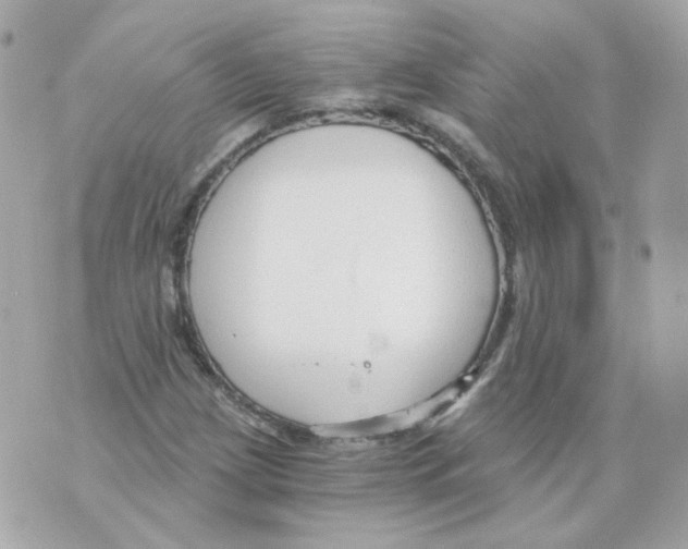 X0000069831209200606161932