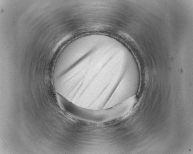 X0000069831210200606161932