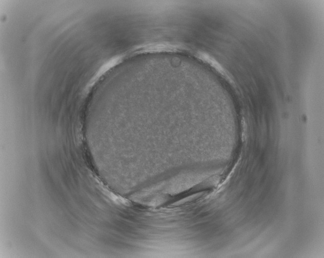 X0000069831213200606161932