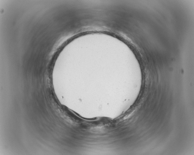 X0000069831215200606161932