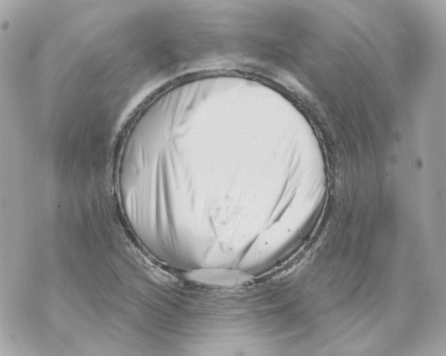 X0000069831216200606161932