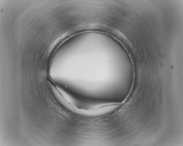 X0000069831218200606161932