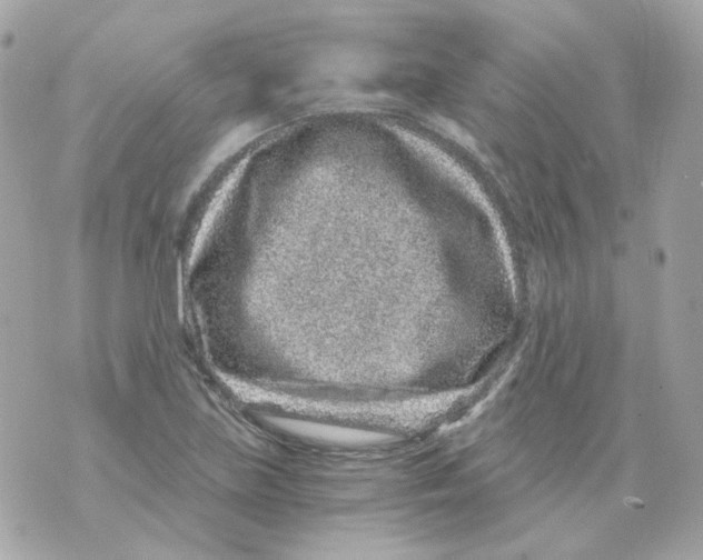 X0000069831219200606161932