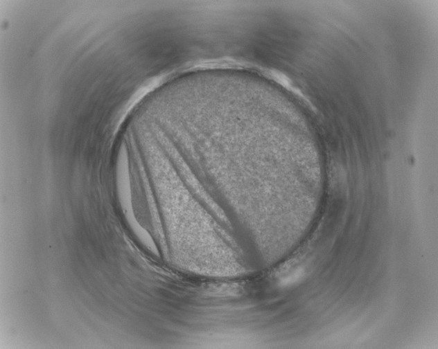 X0000069831221200606161932