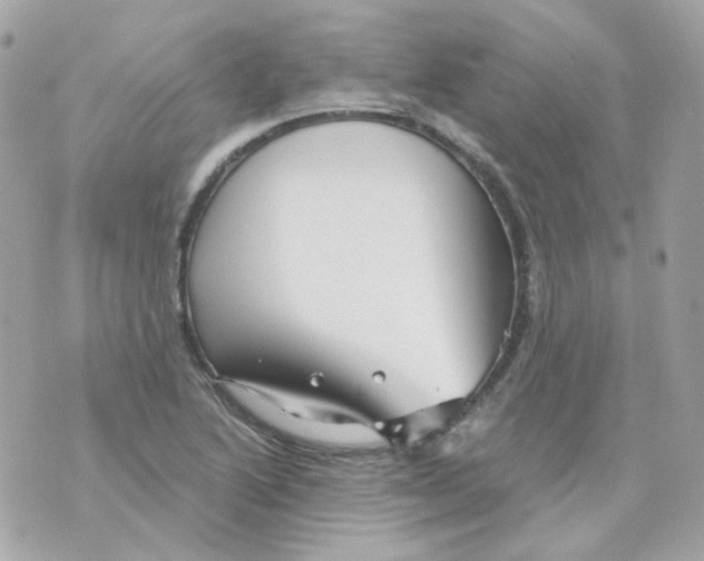 X0000069831222200606161932