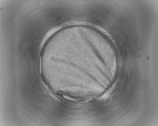 X0000069831223200606161932