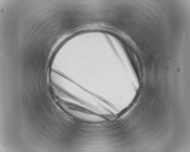 X0000069831224200606161932