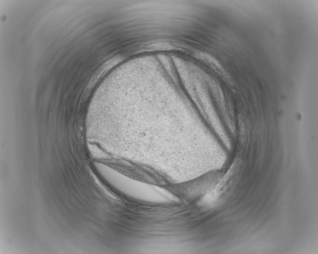 X0000069831225200606161932