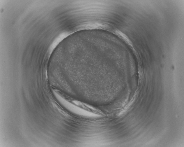 X0000069831226200606161932