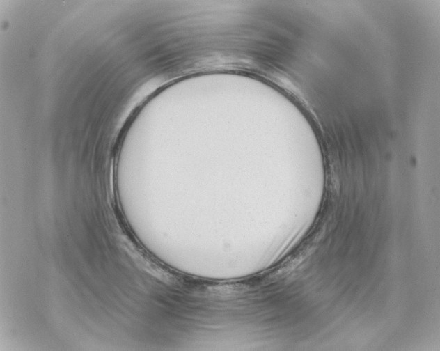 X0000069831227200606161932