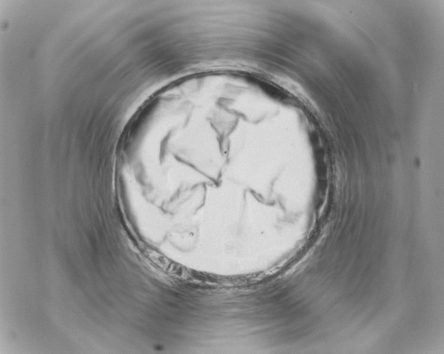 X0000069831228200606161932