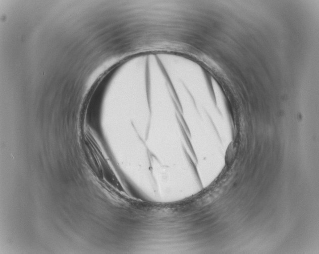 X0000069831230200606161932