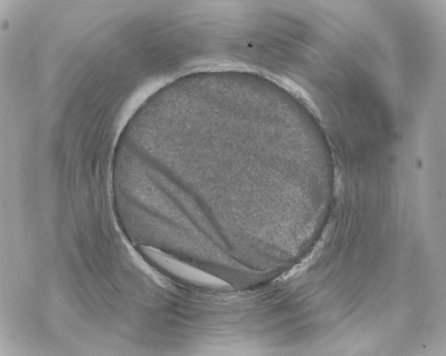 X0000069831231200606161932