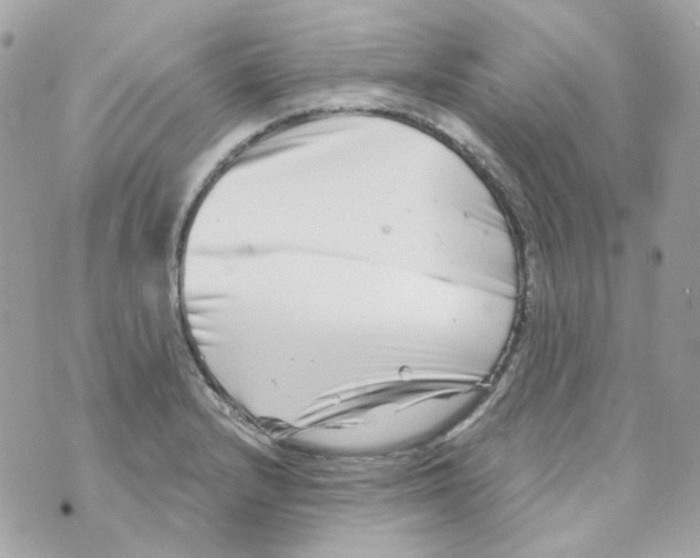 X0000069831232200606161932