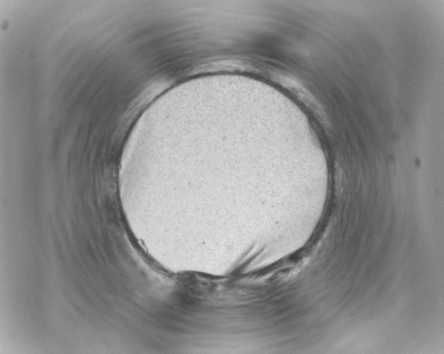 X0000069831233200606161932