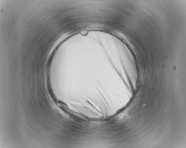 X0000069831235200606161932