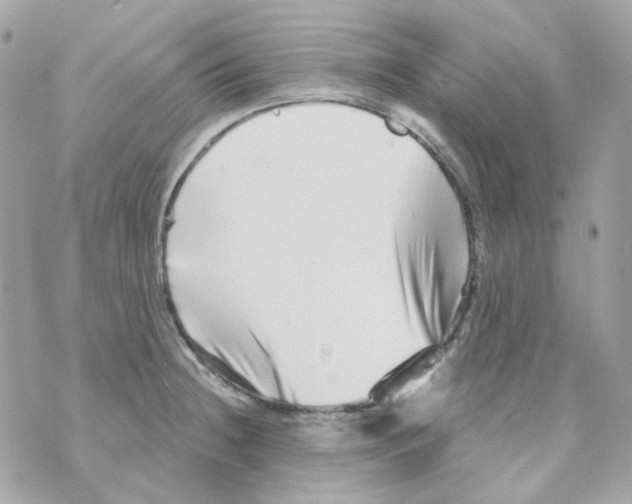 X0000069831236200606161932